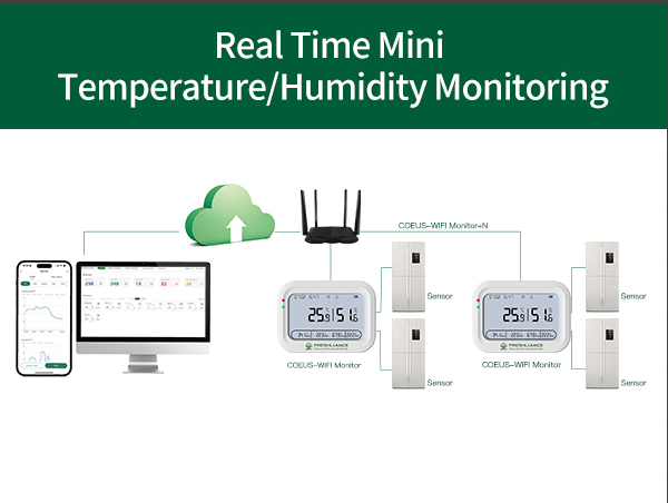 automated-temperature-and-humidity-monitoring-for-tea-warehouses2.png