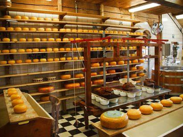 The Application of temperature data loggers in cheese industry