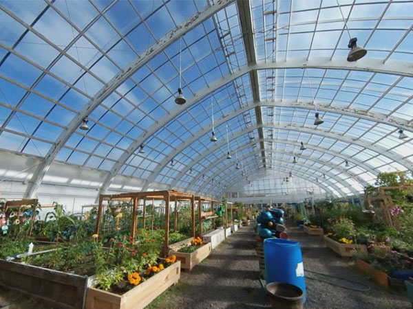 Real-time temperature monitoring of greenhouses, ushering in a new chapter of ha